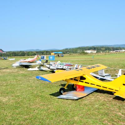 Dsc 0175