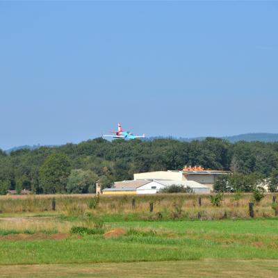 Dsc 0202