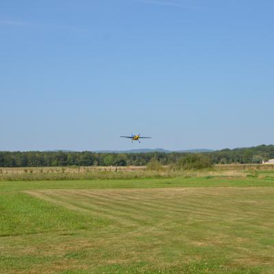 Dsc 0237