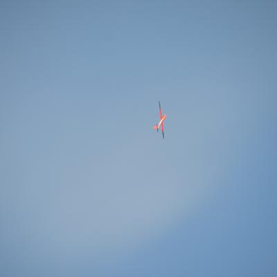 Dsc 0500