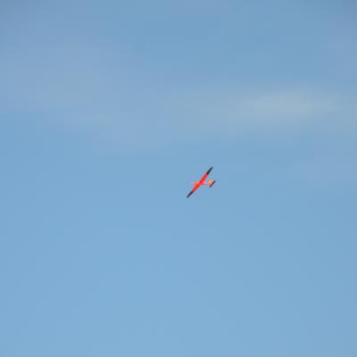 Dsc 0501