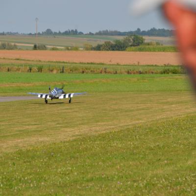 Dsc 0661